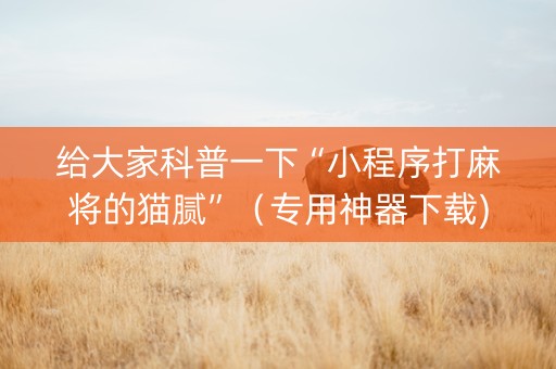 给大家科普一下“小程序打麻将的猫腻”（专用神器下载)