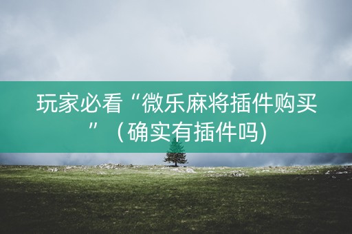 玩家必看“微乐麻将插件购买”（确实有插件吗)