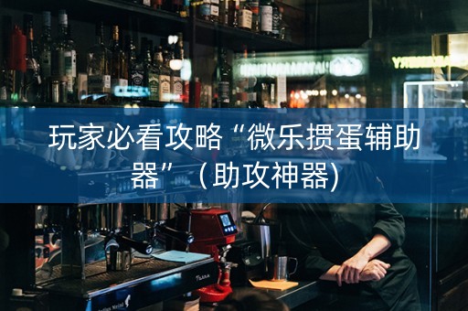 玩家必看攻略“微乐掼蛋辅助器”（助攻神器)