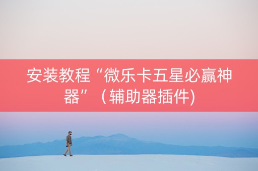 安装教程“微乐卡五星必赢神器”（辅助器插件)