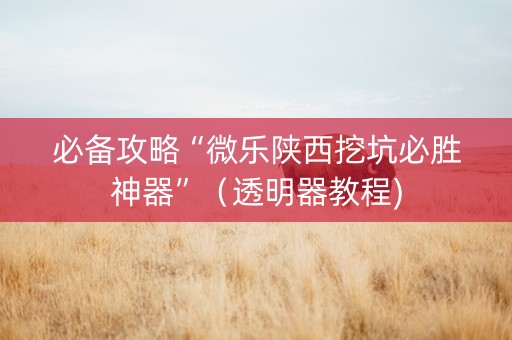 必备攻略“微乐陕西挖坑必胜神器”（透明器教程)