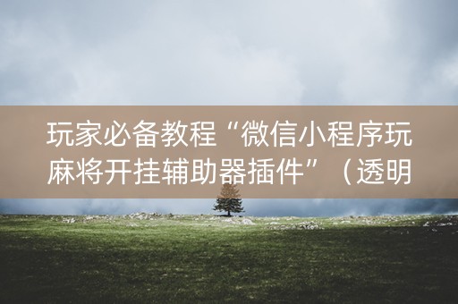 玩家必备教程“微信小程序玩麻将开挂辅助器插件”（透明挂辅助器)