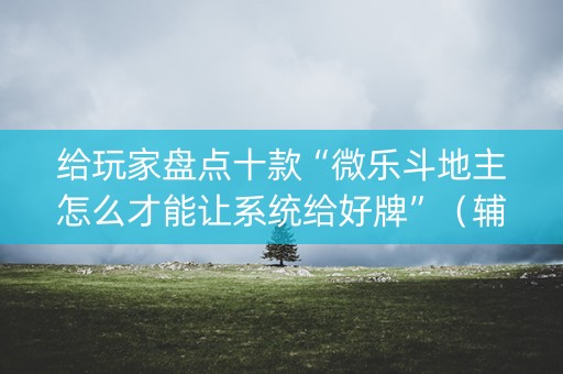 给玩家盘点十款“微乐斗地主怎么才能让系统给好牌”（辅牌器插件购买)
