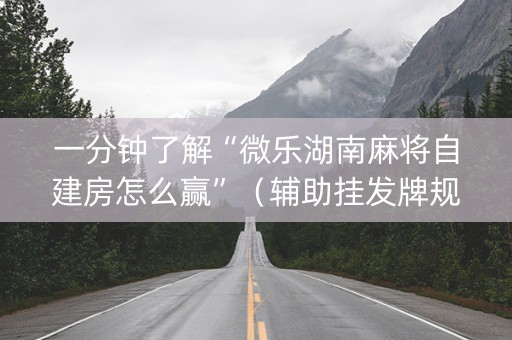 一分钟了解“微乐湖南麻将自建房怎么赢”（辅助挂发牌规律)