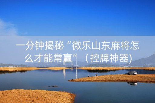 一分钟揭秘“微乐山东麻将怎么才能常赢”（控牌神器)