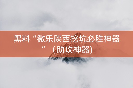 黑料“微乐陕西挖坑必胜神器”（助攻神器)
