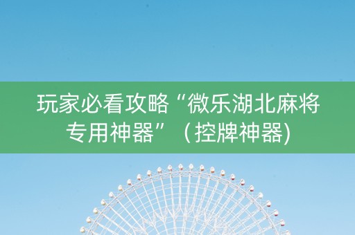玩家必看攻略“微乐湖北麻将专用神器”（控牌神器)