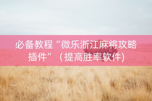 必备教程“微乐浙江麻将攻略插件”（提高胜率软件)