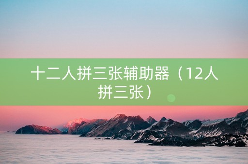 十二人拼三张辅助器（12人拼三张）