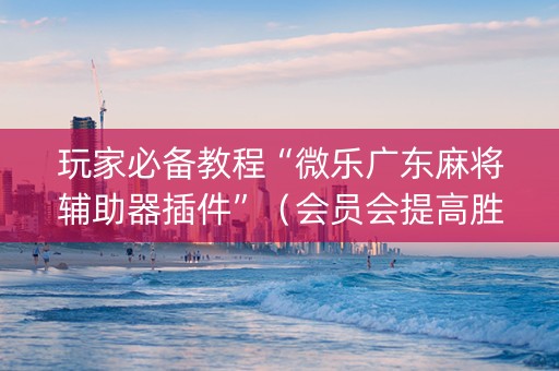玩家必备教程“微乐广东麻将辅助器插件”（会员会提高胜率吗)