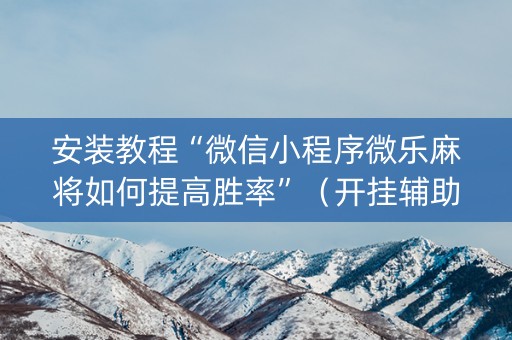 安装教程“微信小程序微乐麻将如何提高胜率”（开挂辅助器插件)