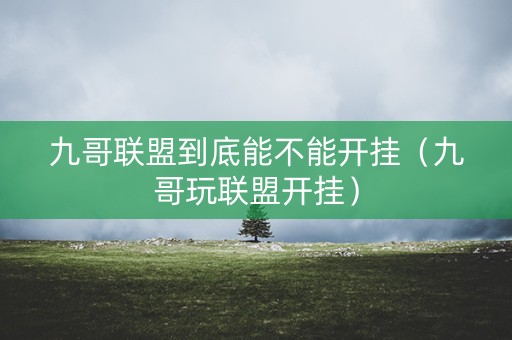 九哥联盟到底能不能开挂（九哥玩联盟开挂）