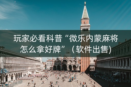玩家必看科普“微乐内蒙麻将怎么拿好牌”（软件出售)
