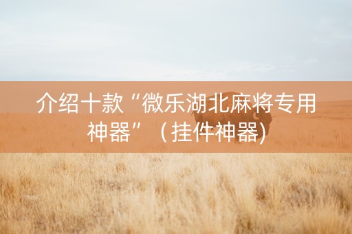 介绍十款“微乐湖北麻将专用神器”（挂件神器)