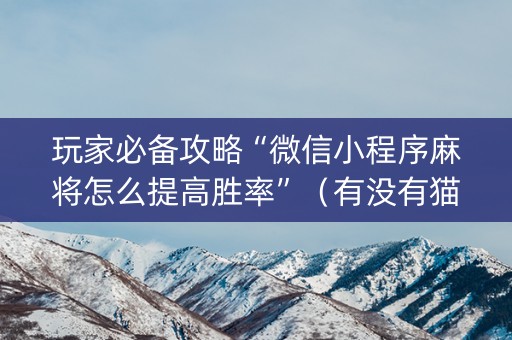 玩家必备攻略“微信小程序麻将怎么提高胜率”（有没有猫腻)