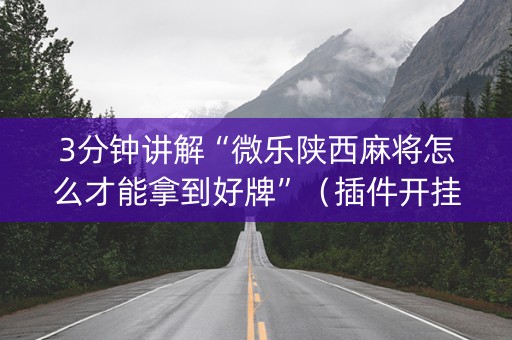 3分钟讲解“微乐陕西麻将怎么才能拿到好牌”（插件开挂免费AI)