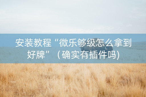 安装教程“微乐够级怎么拿到好牌”（确实有插件吗)