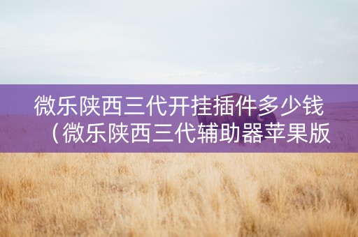 微乐陕西三代开挂插件多少钱（微乐陕西三代辅助器苹果版本）