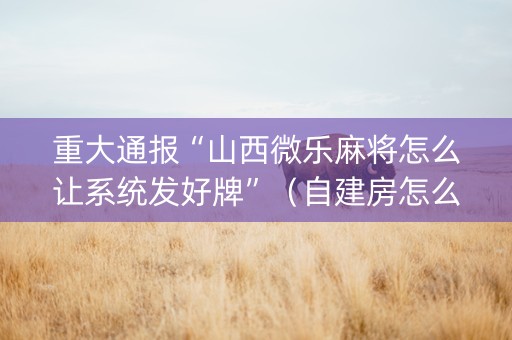重大通报“山西微乐麻将怎么让系统发好牌”（自建房怎么拿好牌)