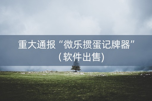 重大通报“微乐掼蛋记牌器”（软件出售)