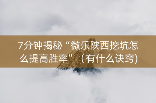 7分钟揭秘“微乐陕西挖坑怎么提高胜率”（有什么诀窍)