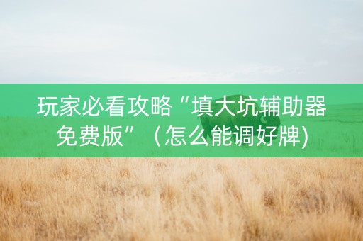 玩家必看攻略“填大坑辅助器免费版”（怎么能调好牌)