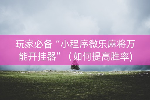 玩家必备“小程序微乐麻将万能开挂器”（如何提高胜率)