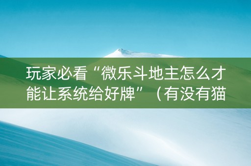 玩家必看“微乐斗地主怎么才能让系统给好牌”（有没有猫腻)
