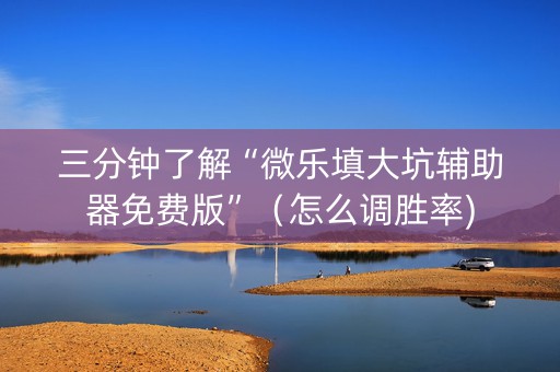 三分钟了解“微乐填大坑辅助器免费版”（怎么调胜率)