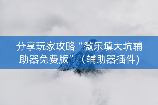 分享玩家攻略“微乐填大坑辅助器免费版”（辅助器插件)