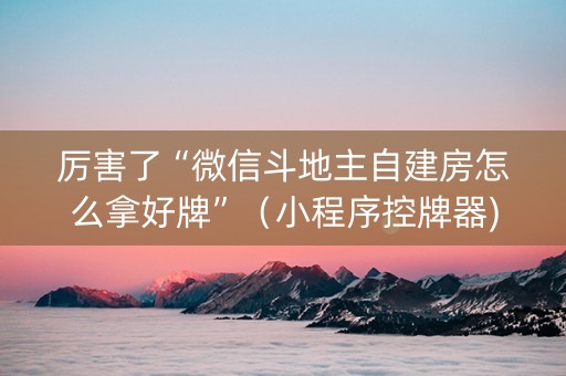 厉害了“微信斗地主自建房怎么拿好牌”（小程序控牌器)