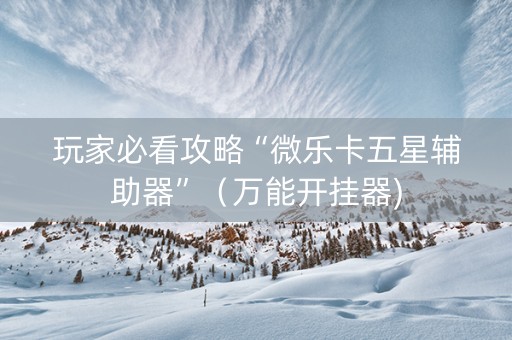 玩家必看攻略“微乐卡五星辅助器”（万能开挂器)
