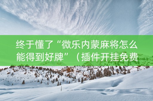 终于懂了“微乐内蒙麻将怎么能得到好牌”（插件开挂免费AI)