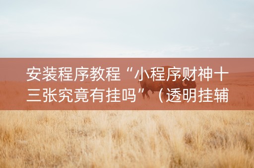 安装程序教程“小程序财神十三张究竟有挂吗”（透明挂辅助器)
