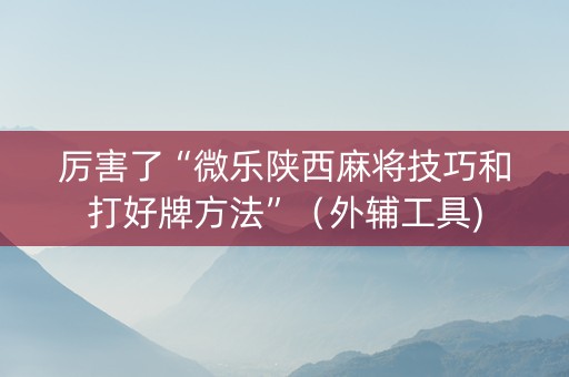 厉害了“微乐陕西麻将技巧和打好牌方法”（外辅工具)