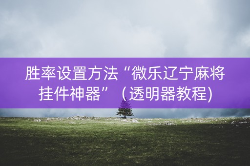 胜率设置方法“微乐辽宁麻将挂件神器”（透明器教程)