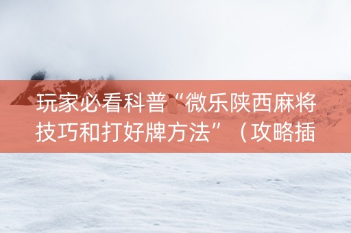 玩家必看科普“微乐陕西麻将技巧和打好牌方法”（攻略插件)