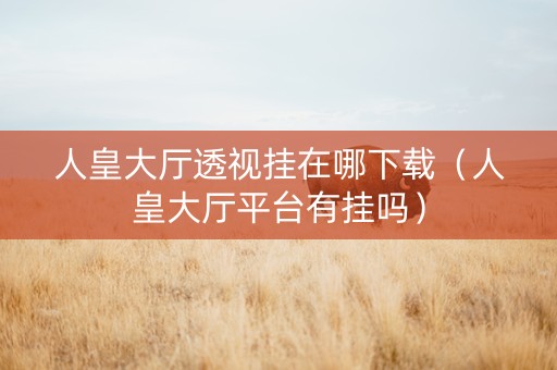 人皇大厅透视挂在哪下载（人皇大厅平台有挂吗）