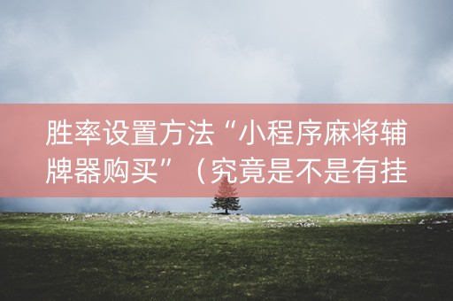 胜率设置方法“小程序麻将辅牌器购买”（究竟是不是有挂)