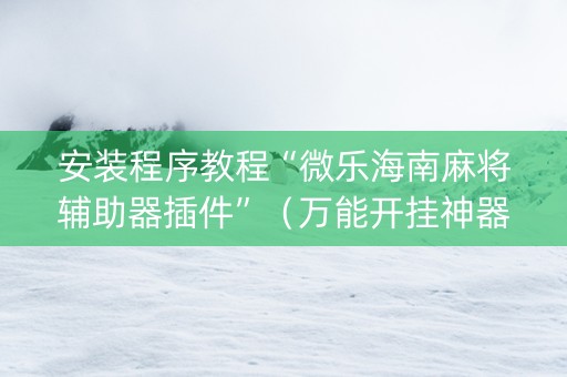 安装程序教程“微乐海南麻将辅助器插件”（万能开挂神器)