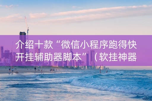 介绍十款“微信小程序跑得快开挂辅助器脚本”（软挂神器)