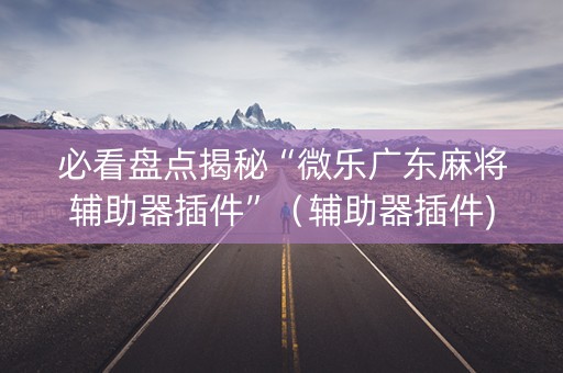 必看盘点揭秘“微乐广东麻将辅助器插件”（辅助器插件)