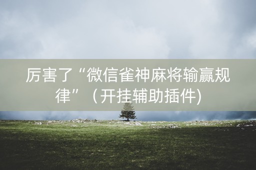 厉害了“微信雀神麻将输赢规律”（开挂辅助插件)