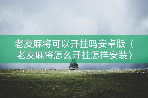 老友麻将可以开挂吗安卓版（老友麻将怎么开挂怎样安装）