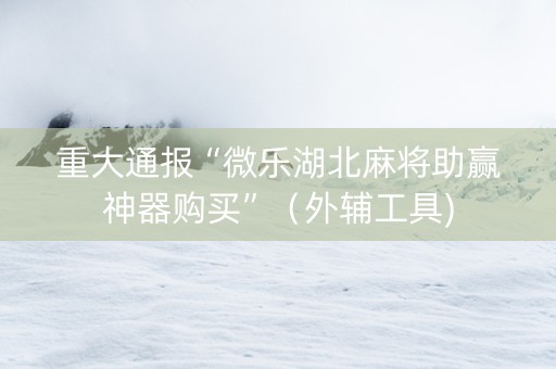 重大通报“微乐湖北麻将助赢神器购买”（外辅工具)