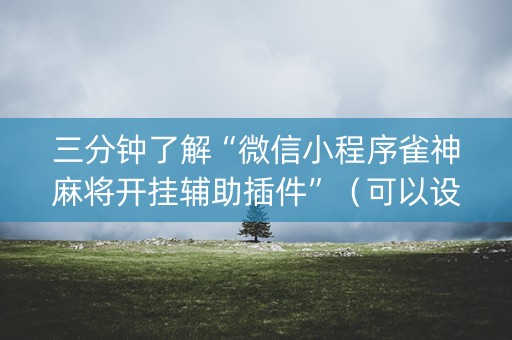 三分钟了解“微信小程序雀神麻将开挂辅助插件”（可以设置输赢吗)