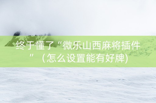 终于懂了“微乐山西麻将插件”（怎么设置能有好牌)