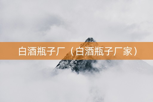 白酒瓶子厂（白酒瓶子厂家）