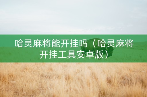 哈灵麻将能开挂吗（哈灵麻将开挂工具安卓版）