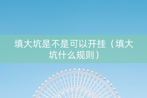 填大坑是不是可以开挂（填大坑什么规则）